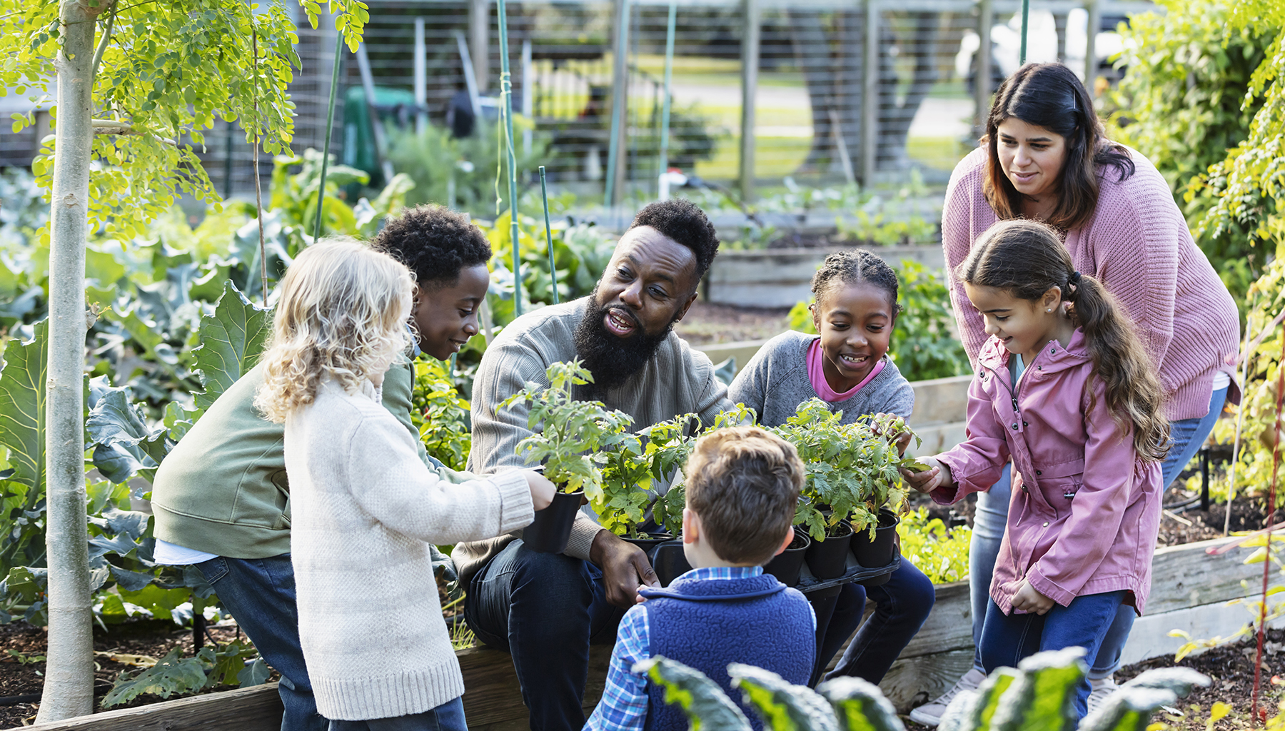 Children and adults gardening