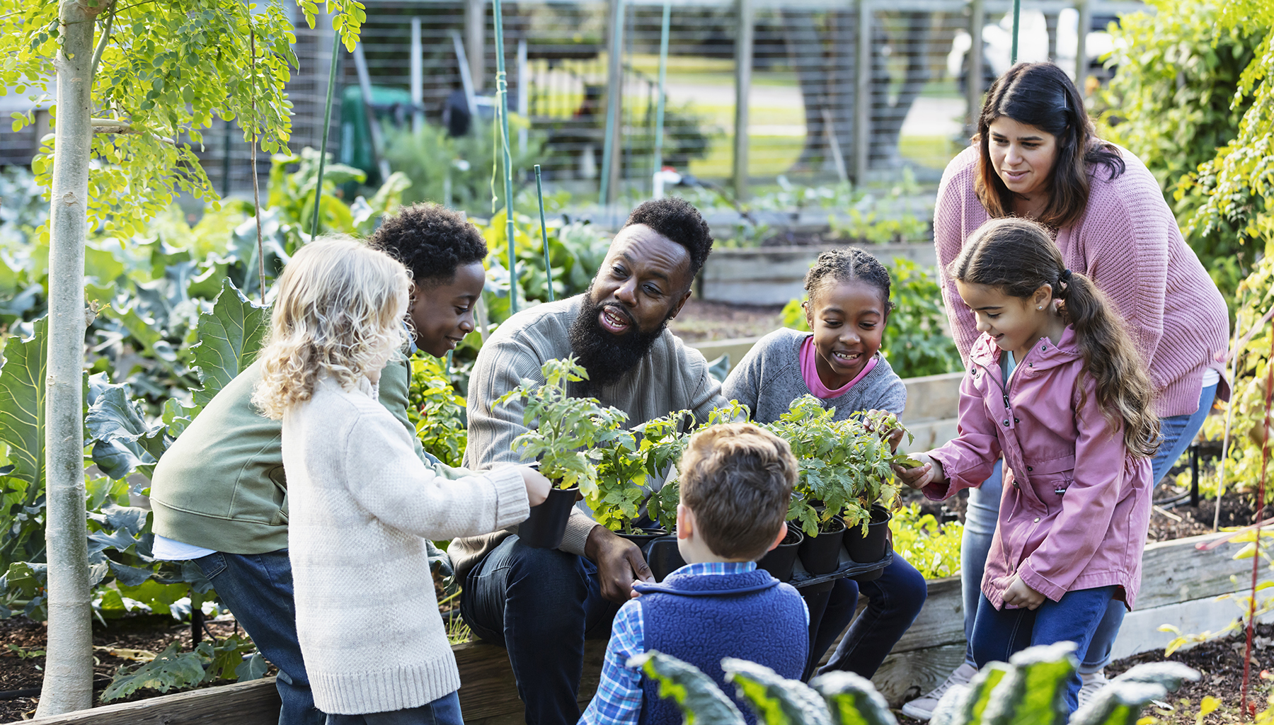 Children and adults gardening