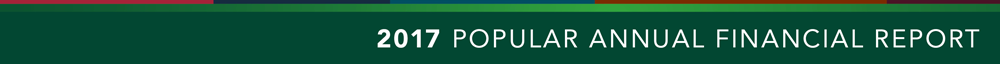 Subpage Popular Annual Financial Report color bar. 