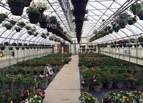 Annual Volunteers in Corrections Flower Sale Annual Volunteers in Corrections Flower Sale
