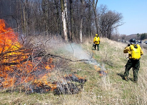 A spring burn at a Ramsey County park, monitored by two contractors in safety gear