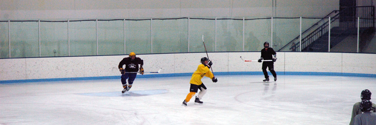 Highland Arena interior