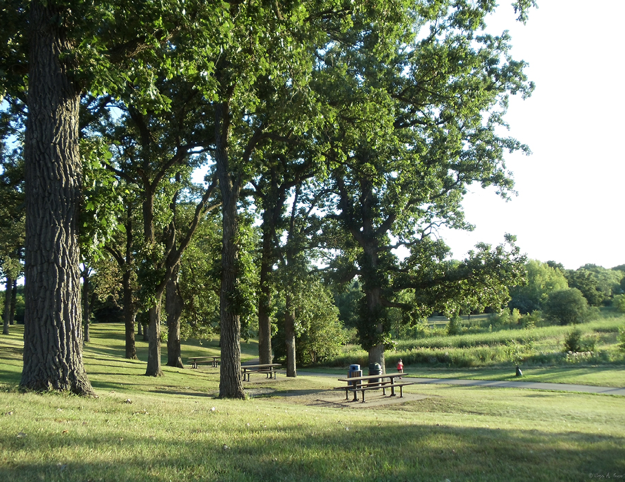 Battle Creek Regional Park picnic area