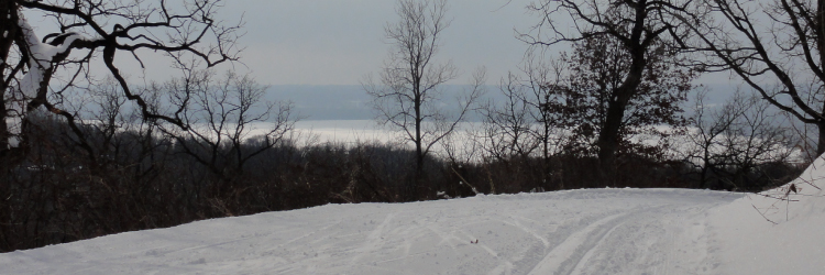 Battle Creek trail