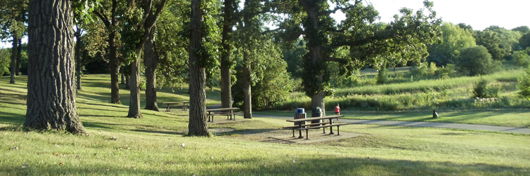 Battle Creek Regional Park picnic area