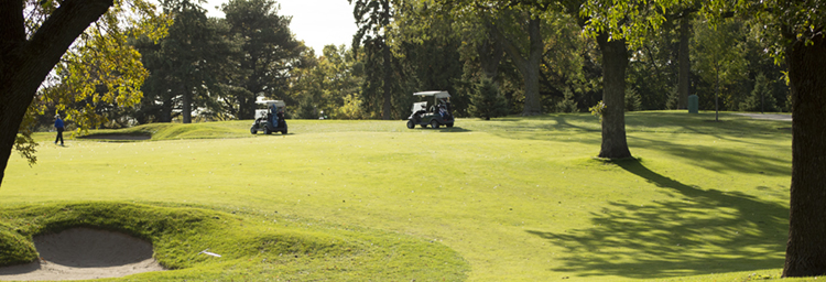 Golf carts at Keller Golf Course