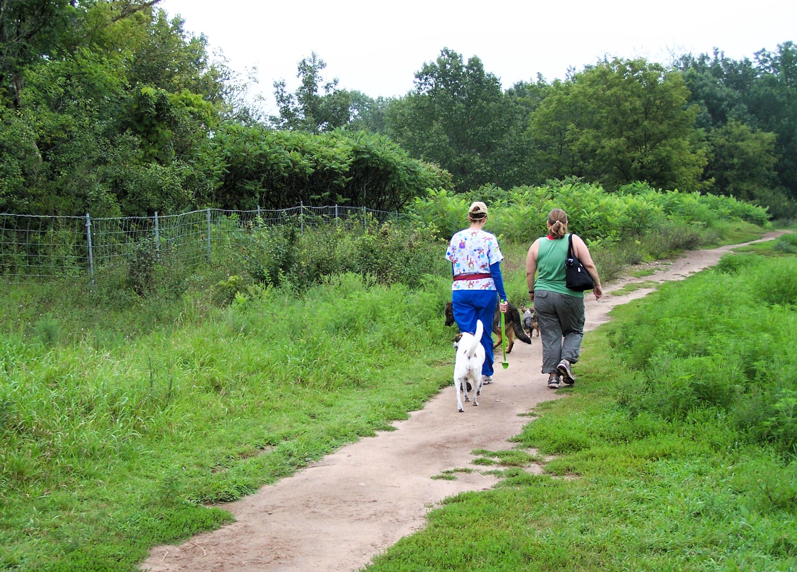 Two people with dogs walking a sandy path surrounded by greenery in a dog park.