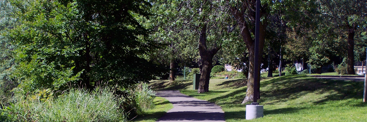 Trail in Beaver Lake County Park