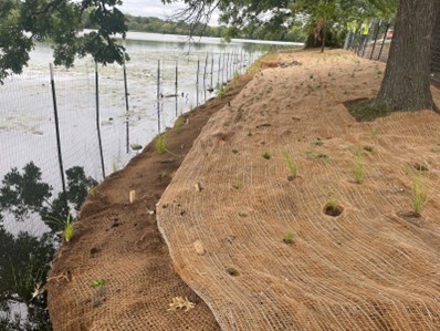 Shoreline of Beaver Lake County Park in restoration