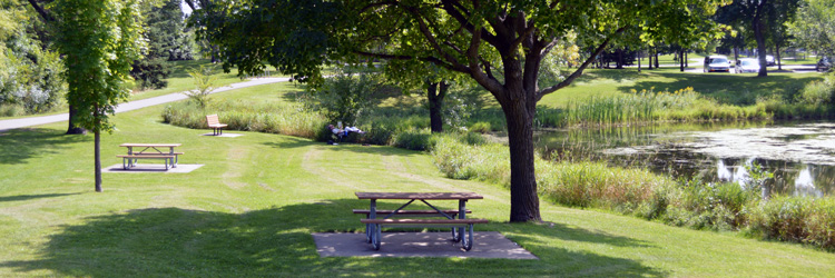 Trails and green space at Island Lake County Park