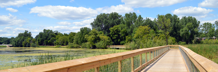 Keller Regional Park boardwalk