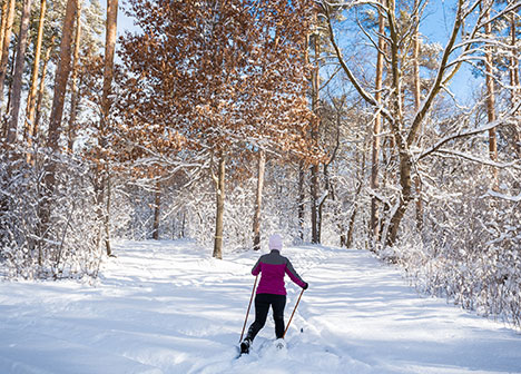 Person skiing at Vadnais Sucker Lakes Regional Park