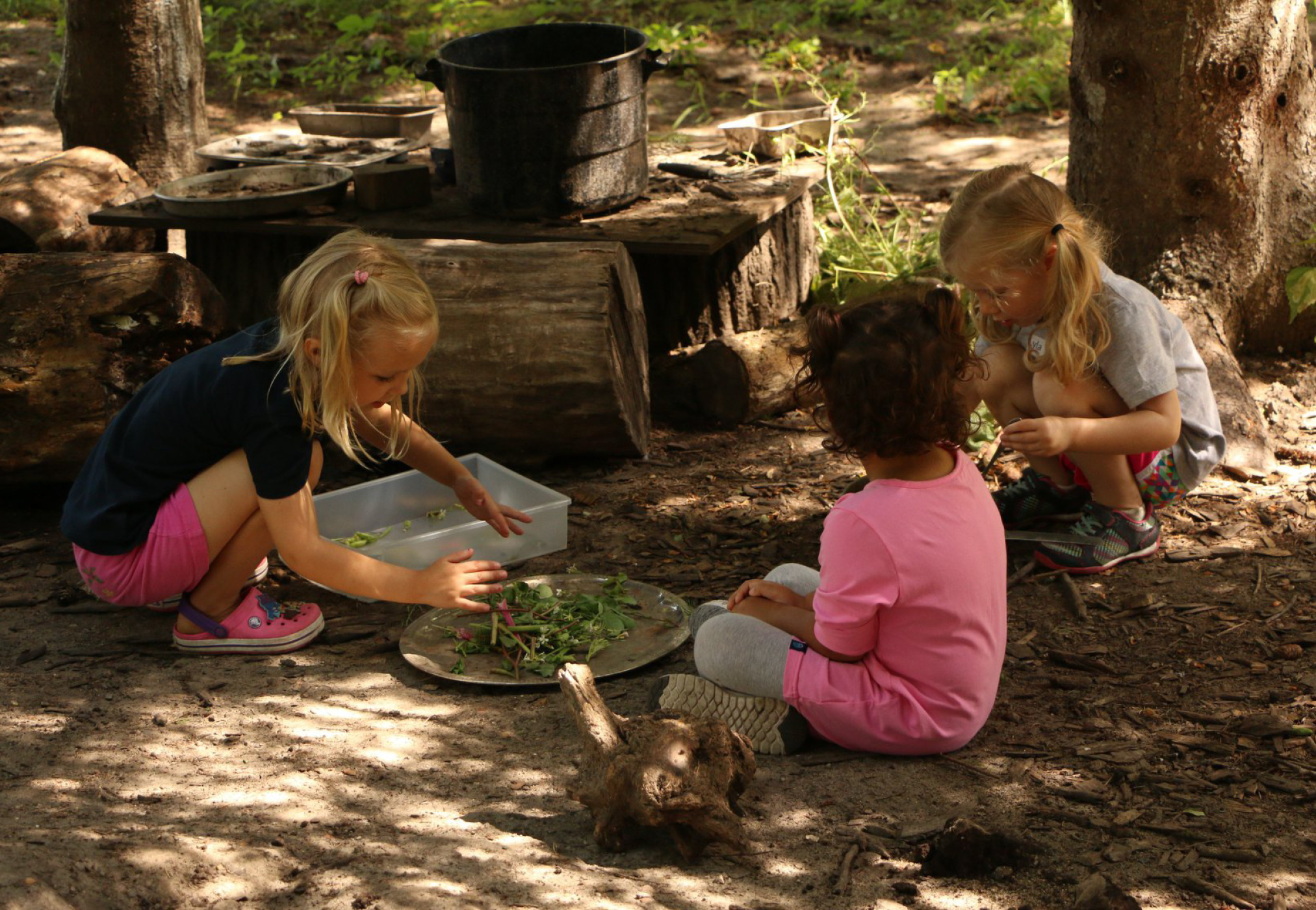 Backyard Bunch Three children playing outdoors with leaves