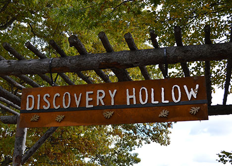 Wooden sign that reads "Discovery Hollow"