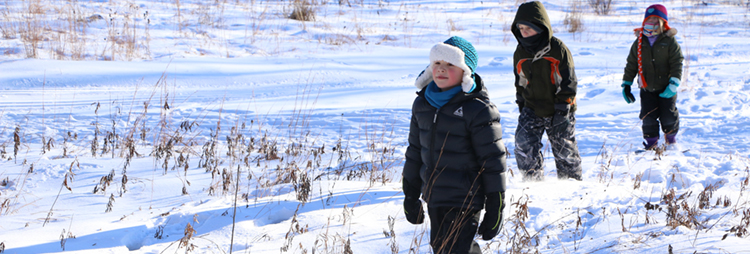 Snowshoeing at Tamarack Nature Center
