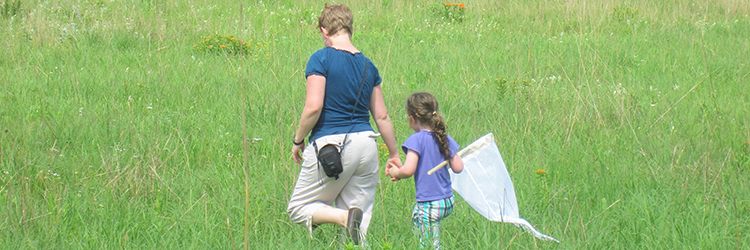 Dragonfly monitor program at Tamarack Nature Center