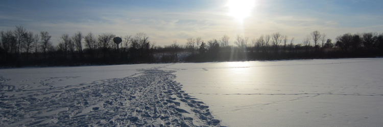 Snowshoe tracks at Tamarack Nature Center