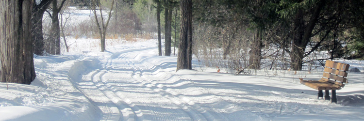 Cross-country ski trail at Tamarack Nature Center