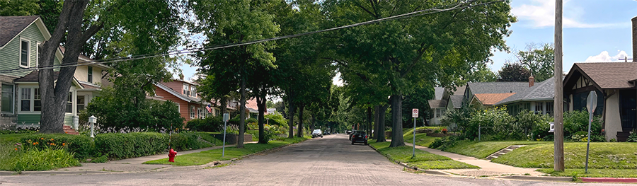 City street in Saint Paul. Homes and vehicles along both sides of the road. 