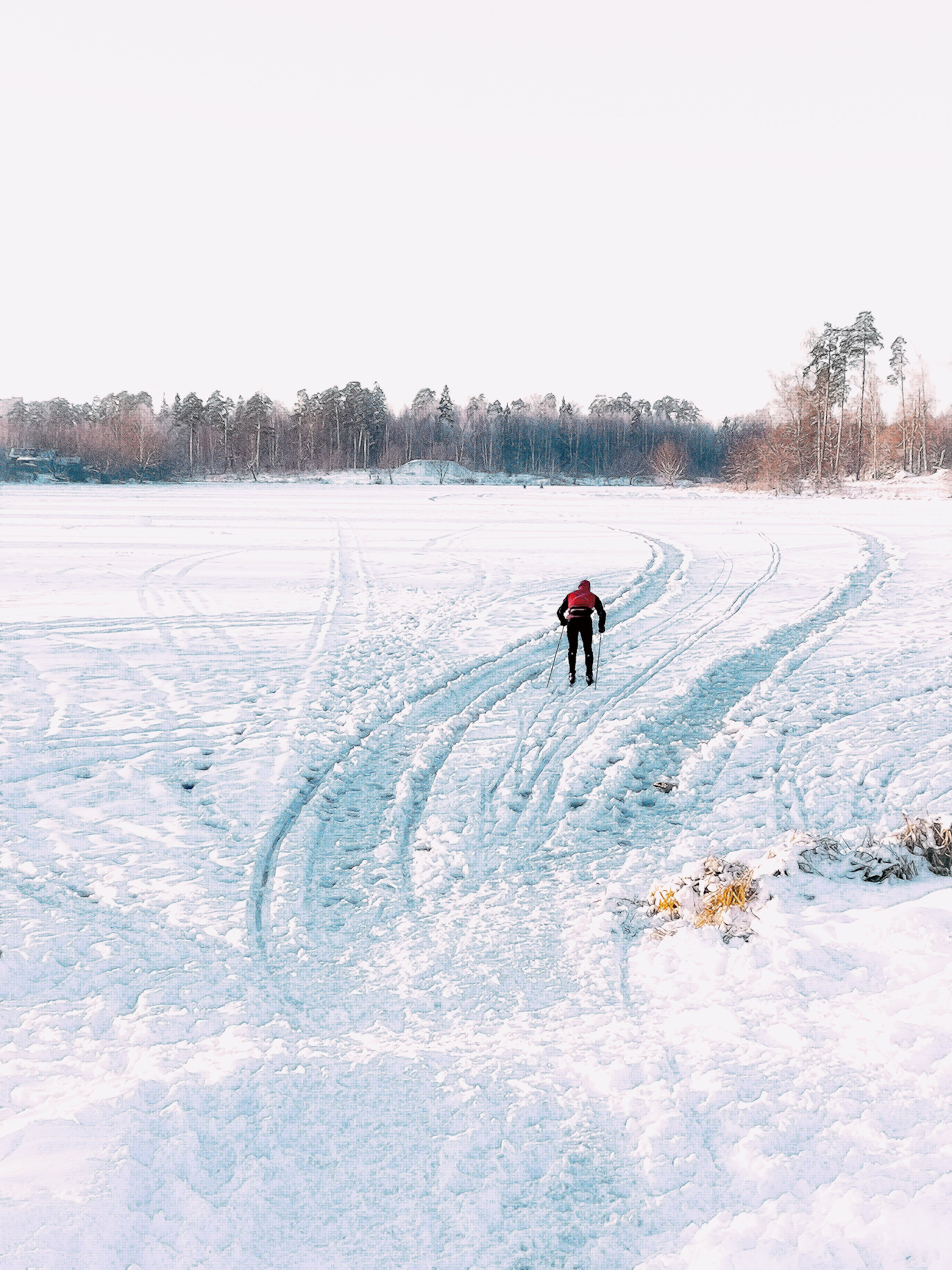 Person cross country skiing in a field