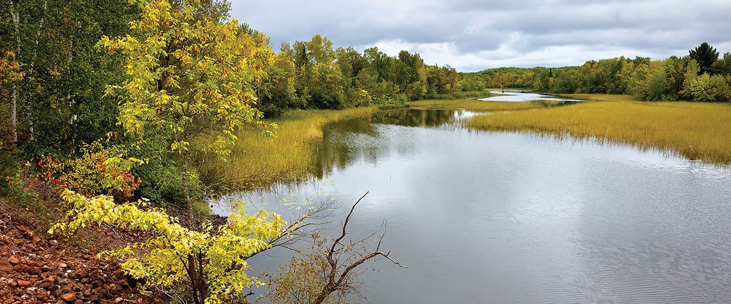 Image: A river surrounded by trees and grass.