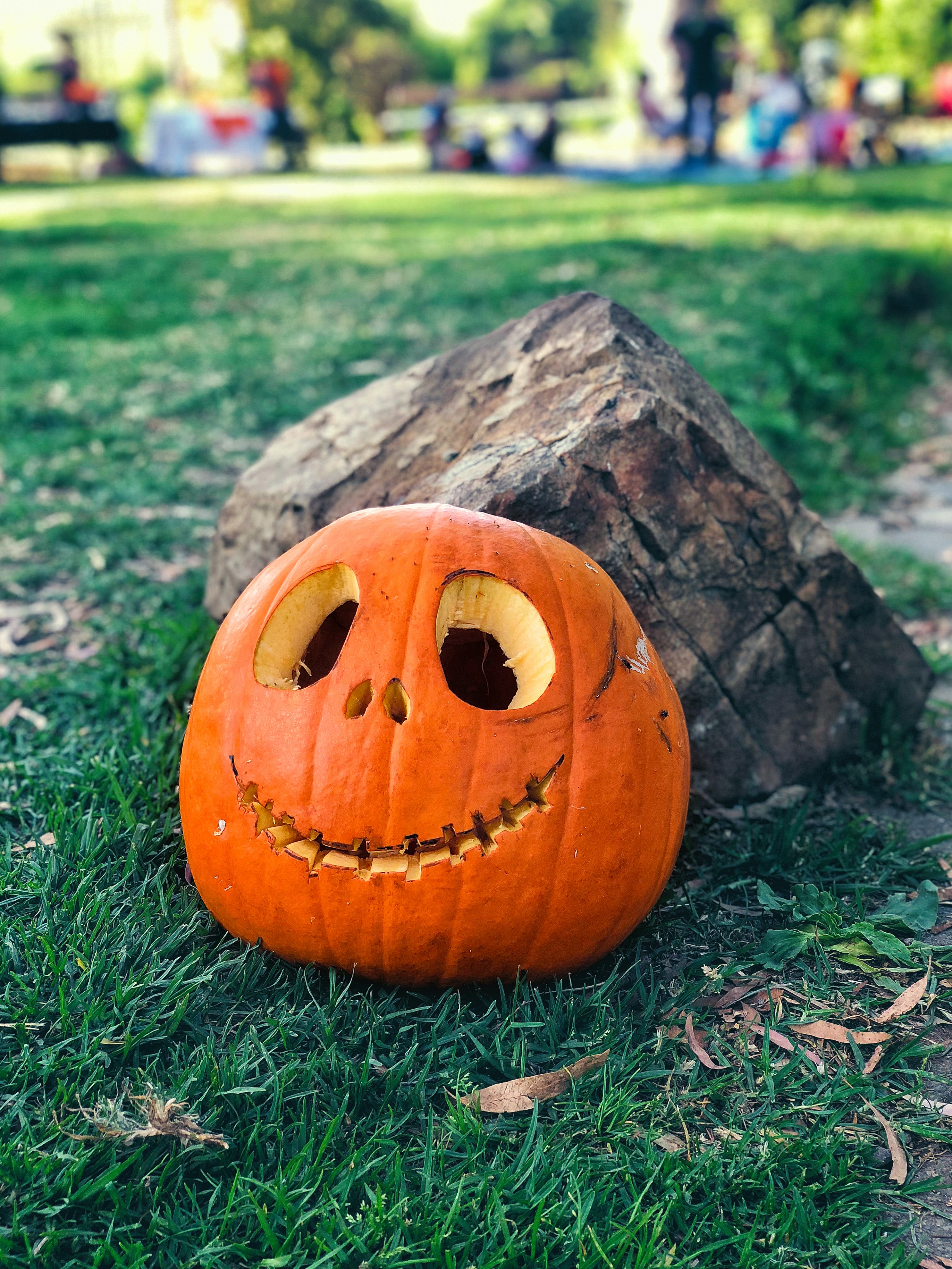 Carved pumpkins