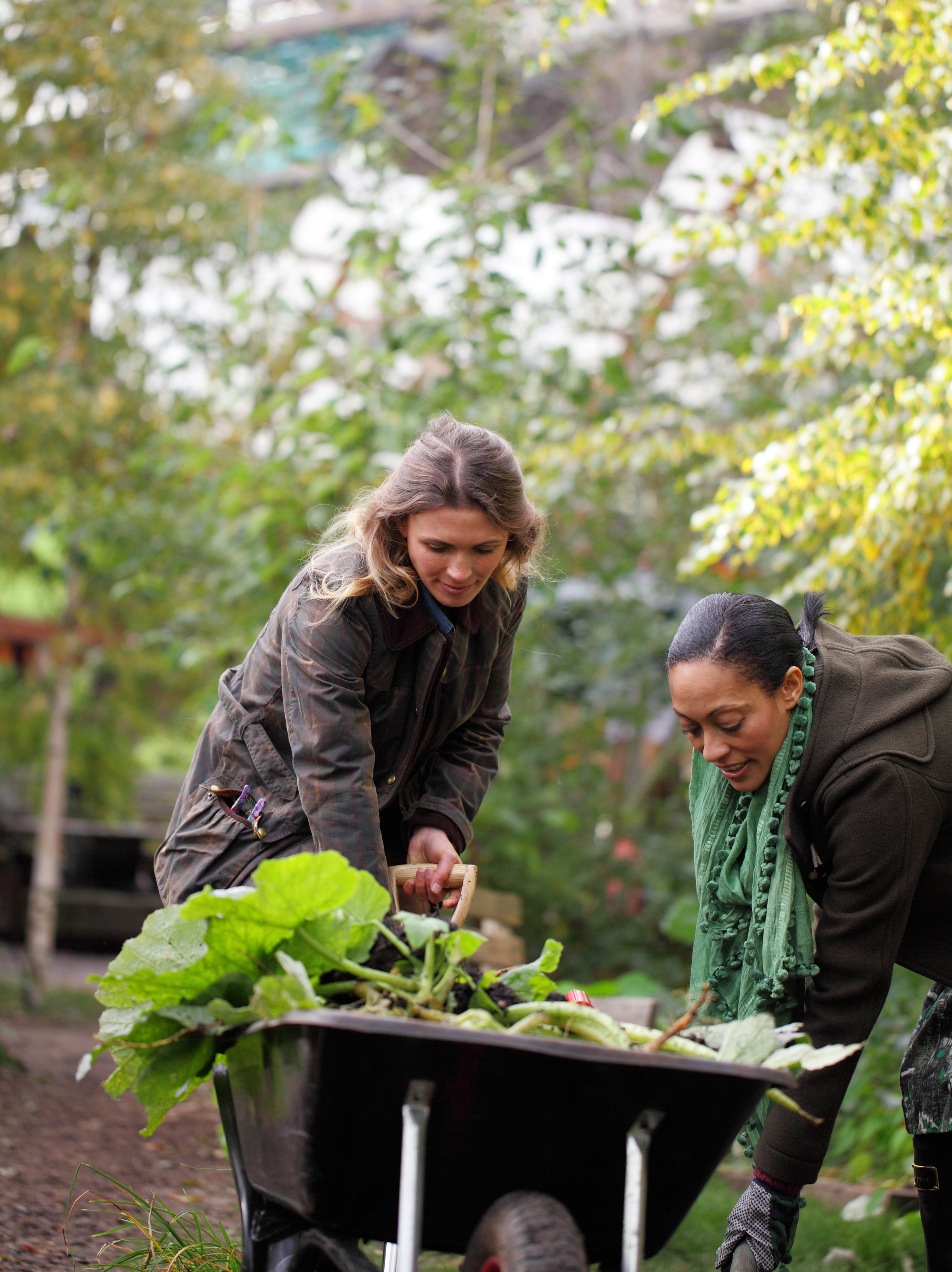  Ramsey County Master Gardeners working in the garden