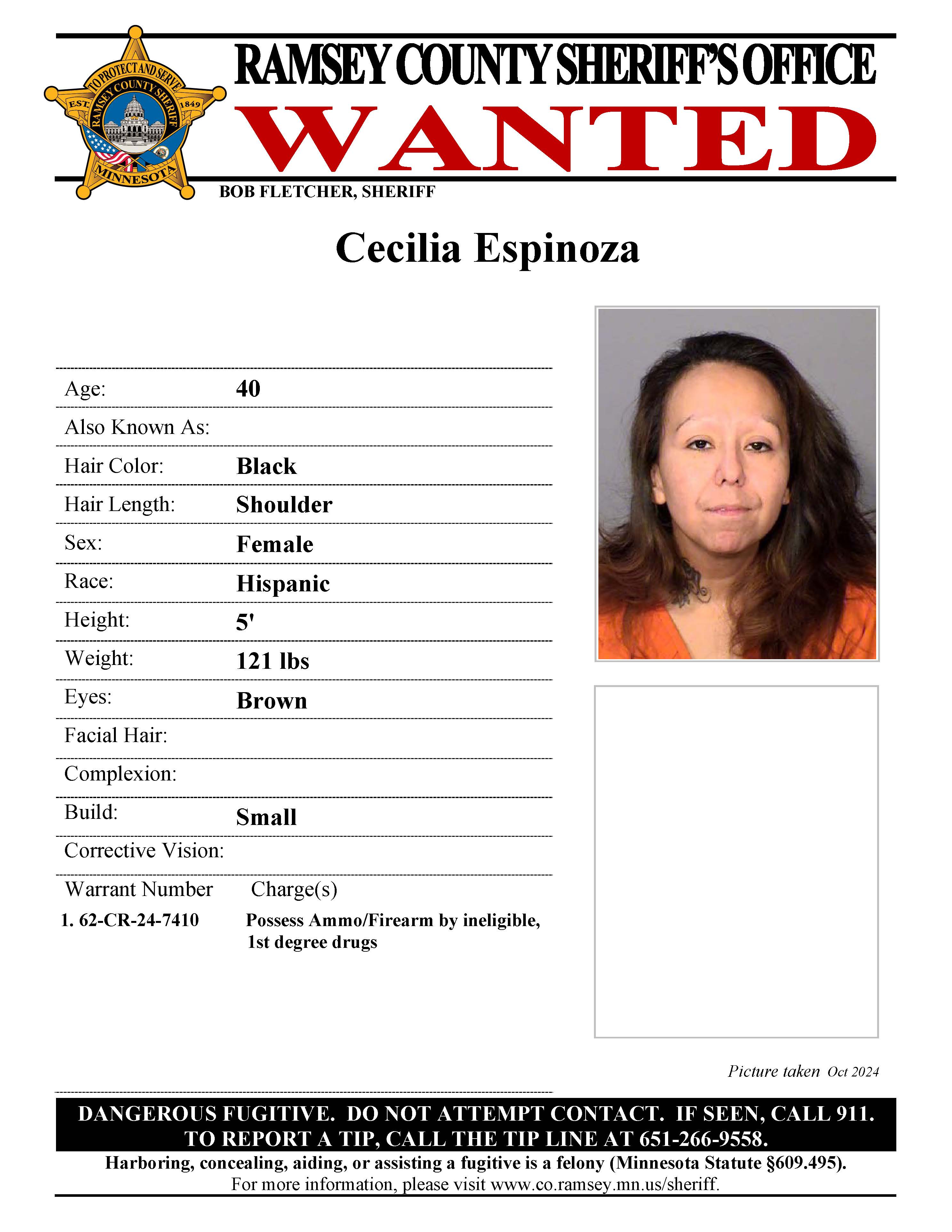 Wanted Poster 2