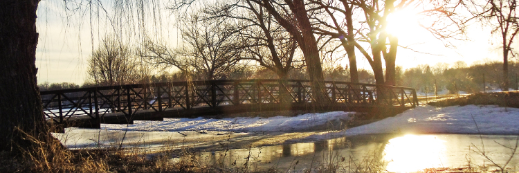 Photo of Bridge at Keller Regional Park by Elwyn Fraser