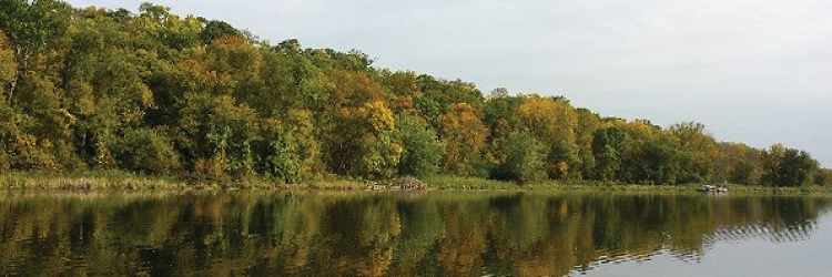 Lake with trees