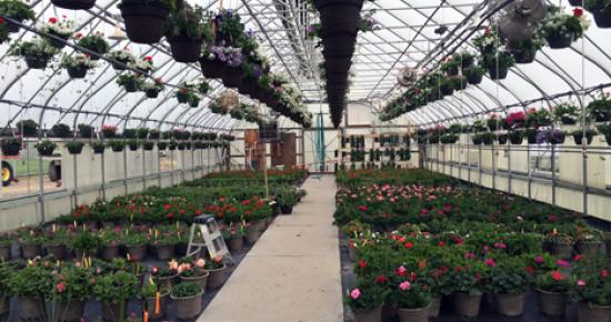 Annual Volunteers in Corrections Flower Sale