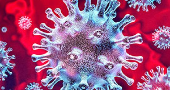 microscopic image of coronavirus