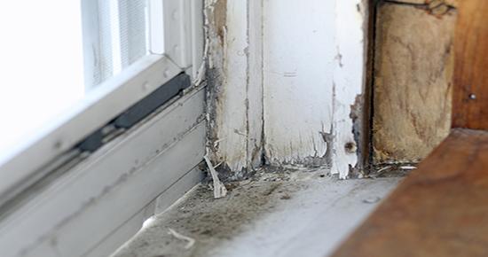 A window with peeling paint