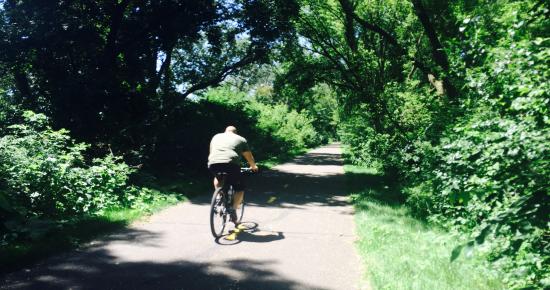 Man riding a bike on a park trail