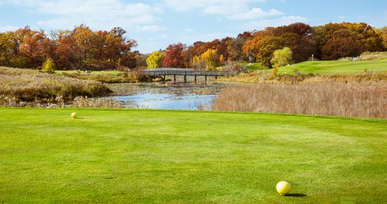 The Ponds at Battle Creek Golf Course The Ponds at Battle Creek Golf Course