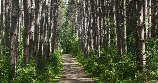 Rice Creek North Regional Trail