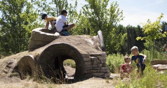 Discovery Hollow Nature Play Area at Tamarack Nature Center Tamarack Nature Center