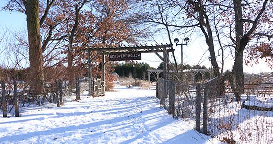 Discovery Hollow entrance during winter
