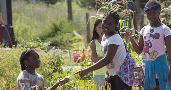 Youth volunteers at Tamarack Nature Center