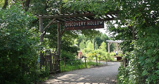 Discovery Hollow Discovery Hollow