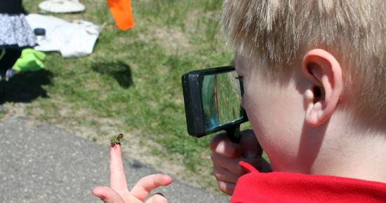 Preschooler exploring insects at Tamarack Nature Center Preschooler exploring insects at Tamarack Nature Center