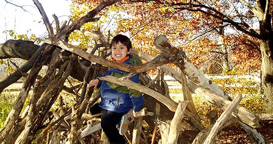 Boy climbing a stick fort at Tamarack Nature Center