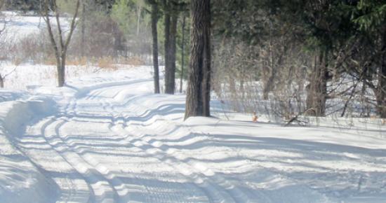 Cross-country ski trail at Tamarack Nature Center