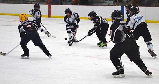 Children playing hockey