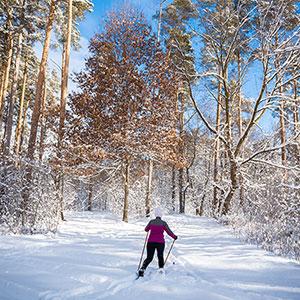 Person skiing at Vadnais Sucker Lakes Regional Park
